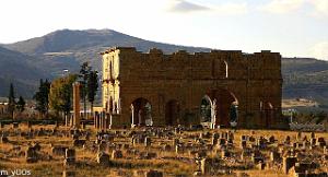 ALGERIE-RUINES ROMAINES DE LAMBESE (23)